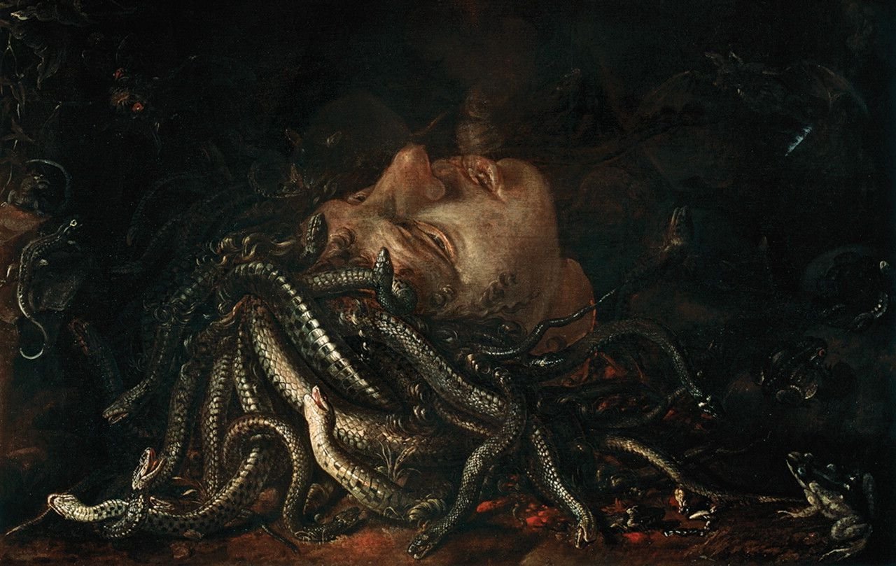 The Head of Medusa lying on the ground. Having snakes as hair, and surrounded by a rat, a fog and a lizard.